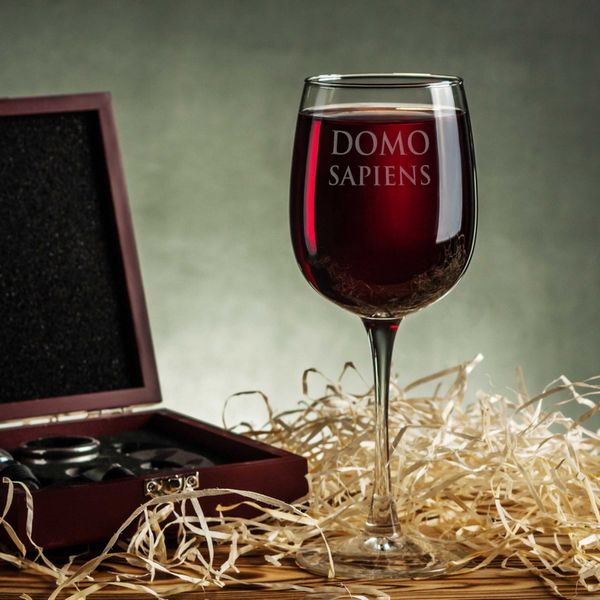 Бокал для вина "Domosapiens" HK-st-15 фото