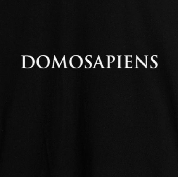 Футболка "Domosapiens" мужская HK-fut-73 фото