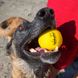 М'яч для гри із собакою "Waboba Fetch" WADOGB фото 4