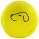 М'яч для гри із собакою "Waboba Fetch" WADOGB фото 1