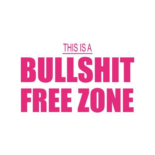 Футболка чоловіча "Bullshit Free Zone" HH-3 фото